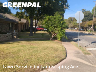 Grass Cut nearby Irving, TX, 
