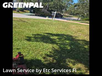 Lawn Maintenancein Dunedin,34698,Yard Mowing by Etc Services Fl, work completed in Nov , 2025