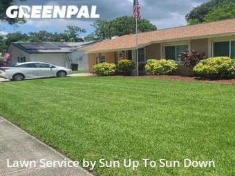 Lawn Mow nearby Pinellas Park, FL, 