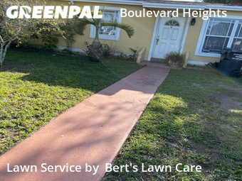 Grass Cut nearby Hollywood, FL, 