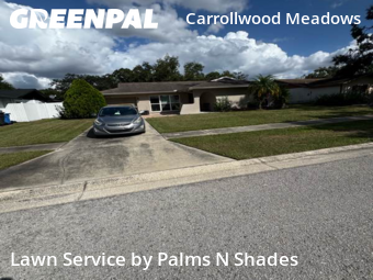 Lawn Mowing Service nearby Tampa, FL, 