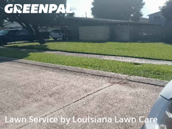 Yard Upkeep in Terrytown, 70056, Grass Care by Louisiana Lawn Care , work completed in Nov , 2025