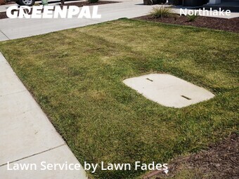 Lawn Mow nearby Sacramento, CA, 
