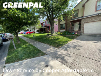 Yard Cutting nearby Columbus, OH, 