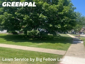Lawn mowed in Hanover Park, 60133
