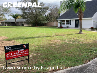 Grass Cut nearby Lakeland, FL, 