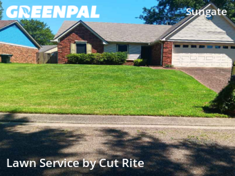 Lawn Cutting nearby Bartlett, AR, 