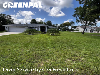 Lawn Mowing nearby Ocala, FL, 