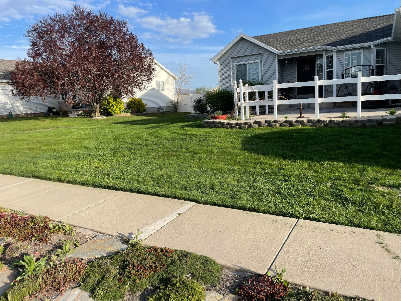 Lawn Care Service in Salt Lake City, UT, 84104