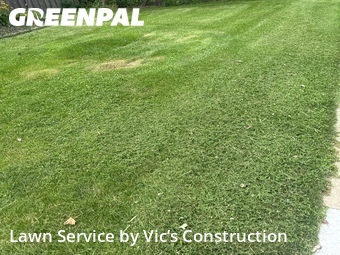 Lawn mowed in Romeoville, 60446