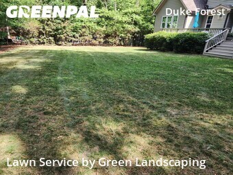 Yard Cutting nearby Durham, NC, 