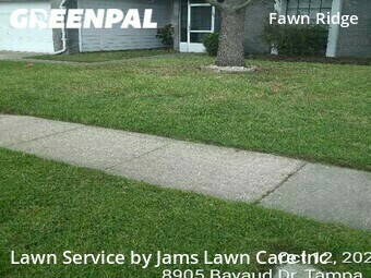 Yard Mowing nearby Tampa, FL, 