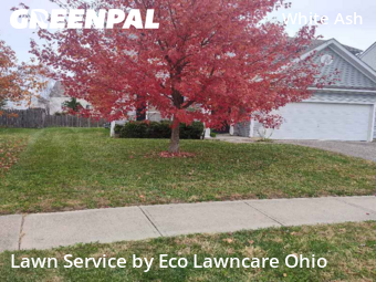 Yard Mowing nearby Canal Winchester, OH, 