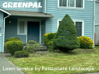 Grass Cut nearby Olympia, WA, 