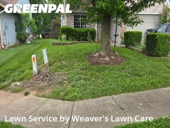 Lawn Mow nearby Greenwood, IN, 
