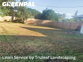 Lawn Cut nearby Bradenton, FL, 