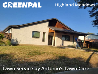 Lawn Carein Dallas,75238,Yard Cutting by Antonio's Lawn Care, work completed in Nov , 2025