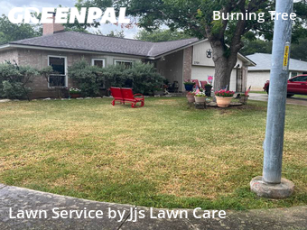 Lawn Mowing Service nearby San Antonio, TX, 