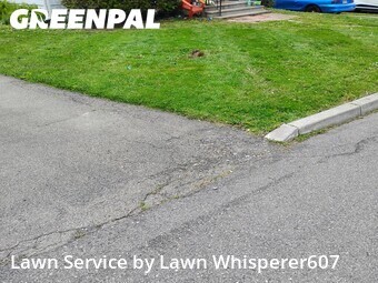 Grass Cut nearby Binghamton, NY, 