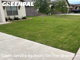 Lawn Cut nearby Wolfforth, TX, 