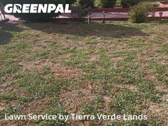 Lawn Care Service nearby La Puente, CA, 