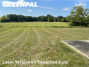 Grass Cut nearby Duson, LA, 