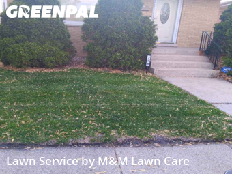 Lawn Mow nearby Calumet City, IL, 