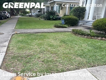 Lawn Cutting nearby New Orleans, LA, 