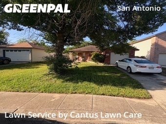 Lawn Cut nearby San Antonio, TX, 