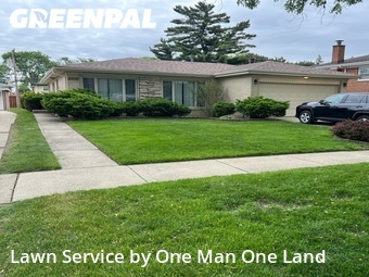 Lawn Cutting nearby Des Plaines, IL, 