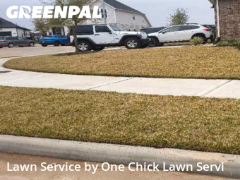 Yard Cutting nearby Katy, TX, 