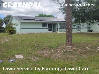Lawn Care nearby Cape Coral, FL, 