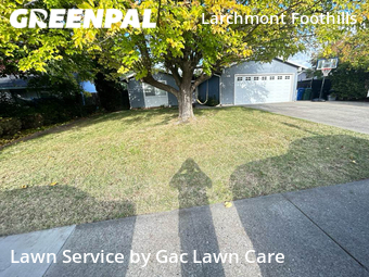 Lawn Mowing nearby Sacramento, CA, 