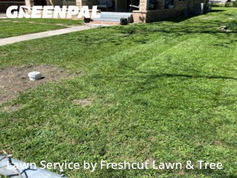 Lawn Cutting nearby Seguin, TX, 
