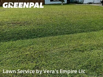 Grass Cut nearby Palm Coast, FL, 