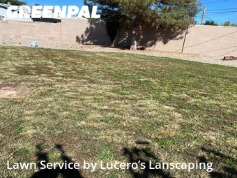 Yard Mowing nearby Albuquerque, NM, 