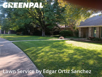 Yard Mowingin Richardson,75082,Lawn Mowing by Edgar Ortiz Sanchez, work completed in Dec , 2025