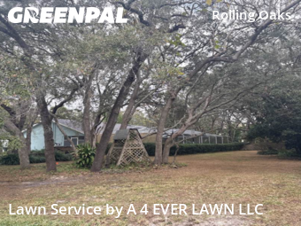 Lawn Upkeep in Hudson, 34667, Lawn Upkeep by A 4 EVER LAWN LLC, work completed in Dec , 2025