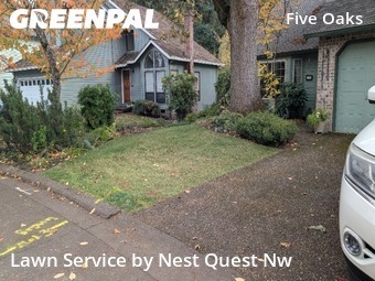 Landscaping Maintenance in Beaverton, 97006, Yard Upkeep by Nest Quest Nw, work completed in Nov , 2025