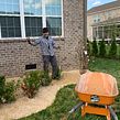 Hire trusted vendor Treestar Landscaping