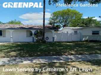 Grass Cut nearby Dania Beach, FL, 