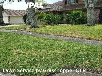 Lawn Mowing nearby Valrico, FL, 