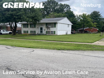 Grass Cut nearby Louisville, KY, 