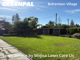 Work completed by residential-lawn-cutting-businesses-in-Sacramento-CA
