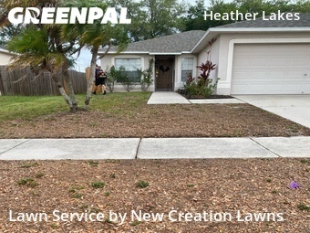 Lawn Maintenance nearby Brandon, FL, 
