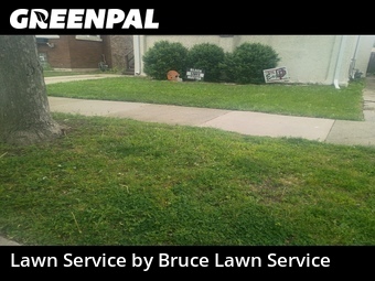 Yard Cuttingin Oak Park,60302,Lawn Cut by Bruce Lawn Service, work completed in Jul , 2026