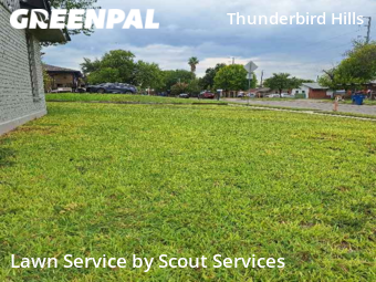 Grass Cut nearby San Antonio, TX, 