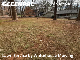 Lawn mowed in Raleigh, 27613