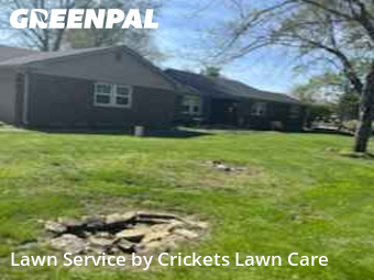 Grass Cut nearby Zionsville, IN, 