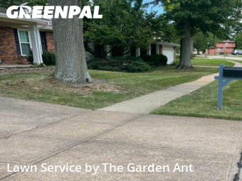 Lawn Mowing Servicein Ballwin,63011,Lawn Care by The Garden Ant , work completed in Nov , 2025